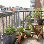 Installer un filet anti-oiseaux sur balcon : règles et bonnes pratiques
