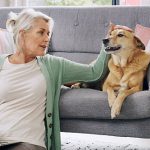 assurance animaux de compagnie