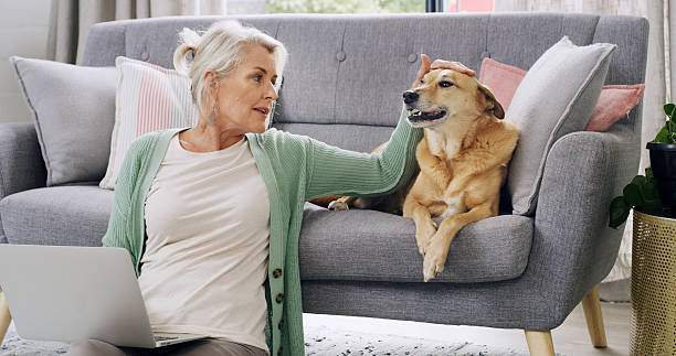 Assurance animaux de compagnie : tout savoir avant de souscrire