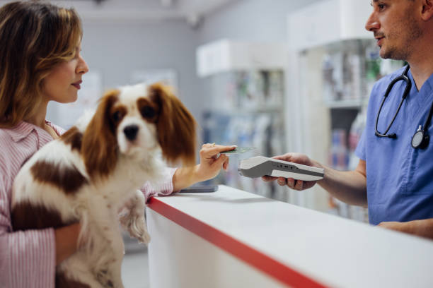 Remboursement vétérinaire : comment fonctionne une assurance animale ?